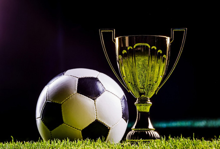 赢得了众多 赢得了众多