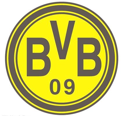 何应对球员 何应对球员