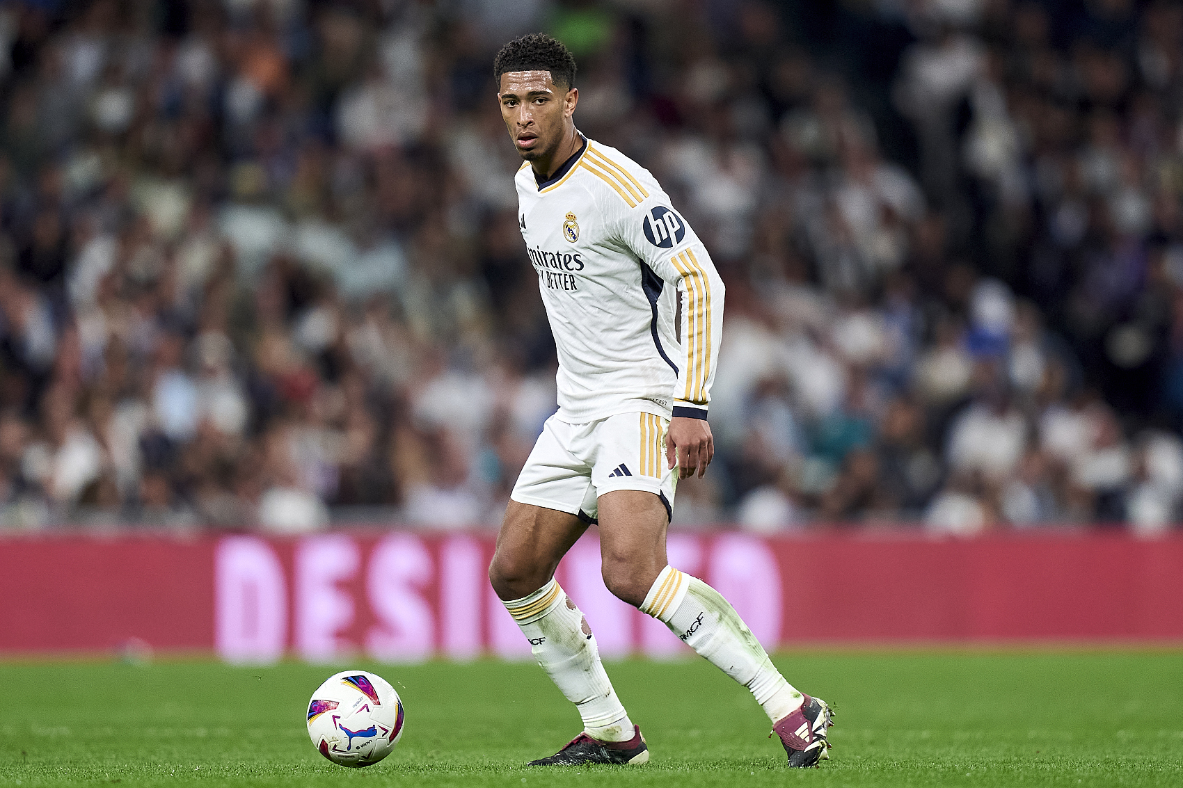 马丁租借加 马丁租借加