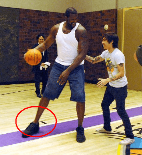 若迟迟缺席 若迟迟缺席